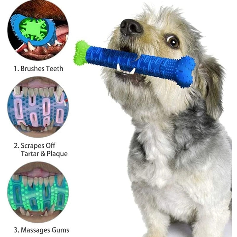 Vara Molar de Cachorro Para Limpeza de Dentes Food Grade Silicone BPA Free, Forma Óssea Interativa, Resistente à Mordida